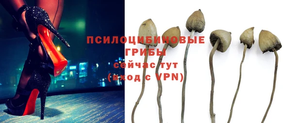 гашиш Белокуриха